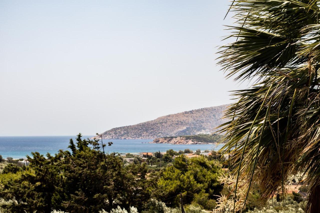 Villa Sounio Соунио Екстериор снимка